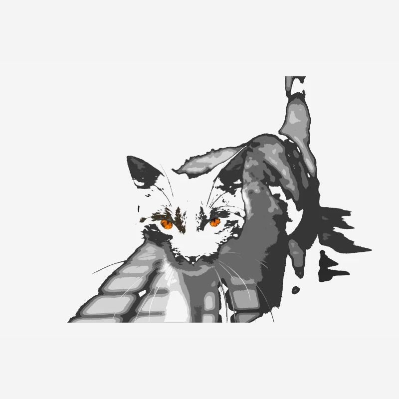 l'étrange chat