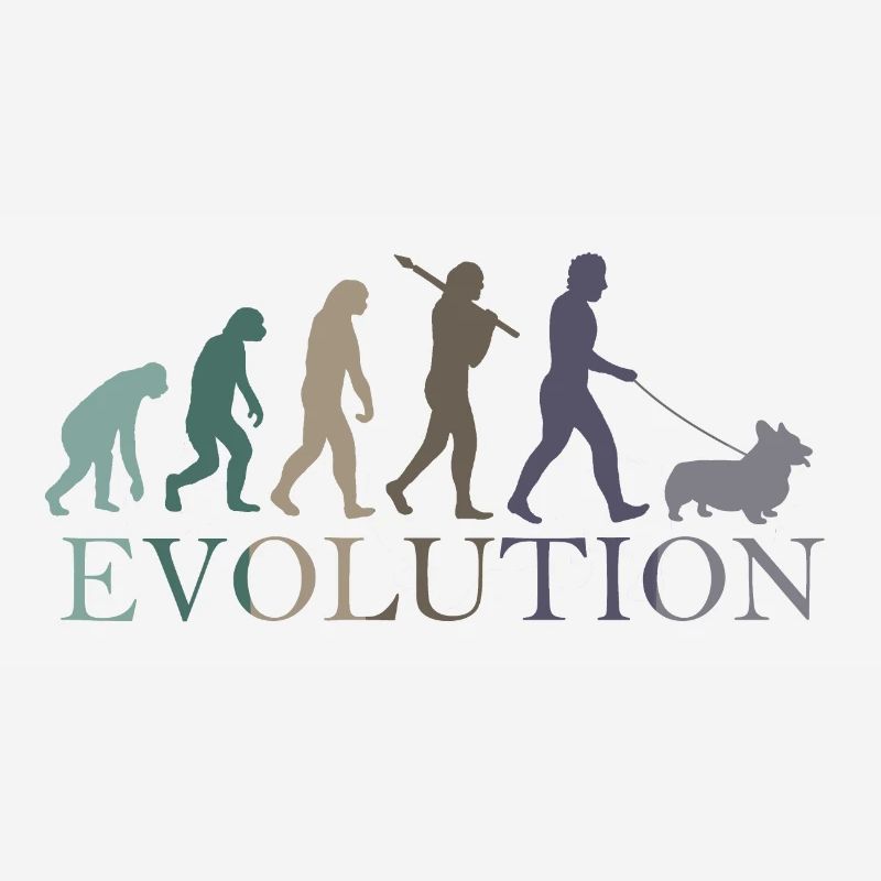 L’ÉVOLUTION DE LA CORGA