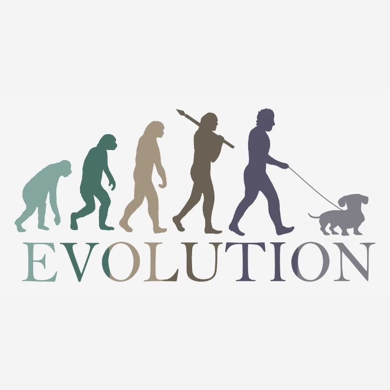 EVOLUTION OF THE RETRO DACHSHUND