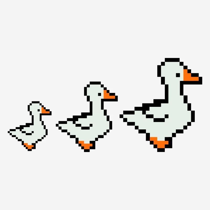 Canards pixellisés