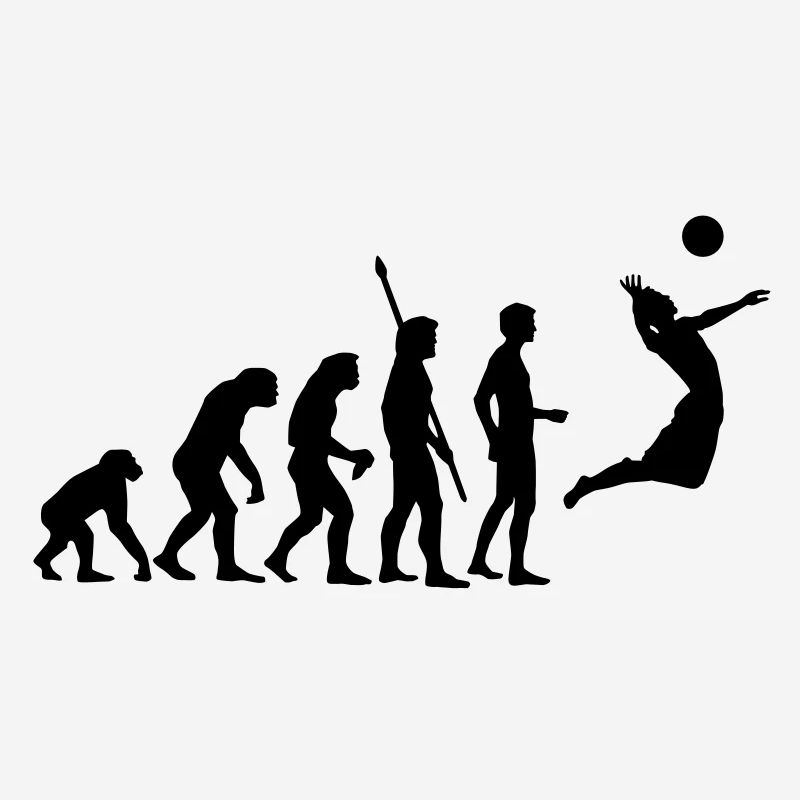 evolution_volleyball