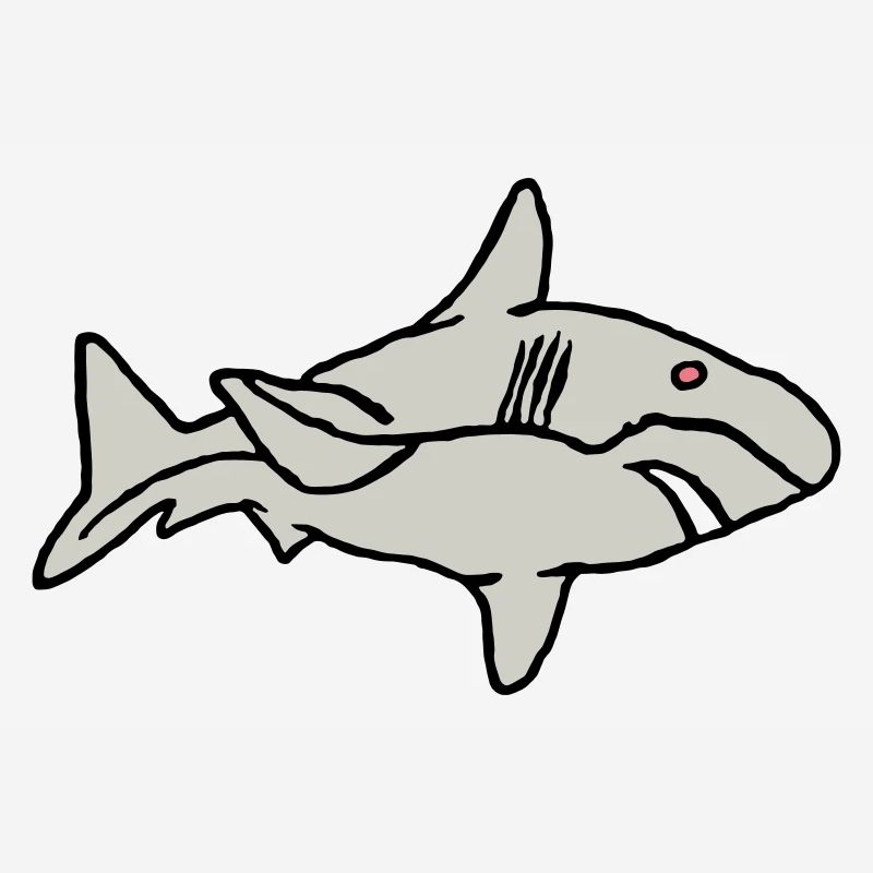 Poisson Requin Prédateur Eau Graffiti Océan