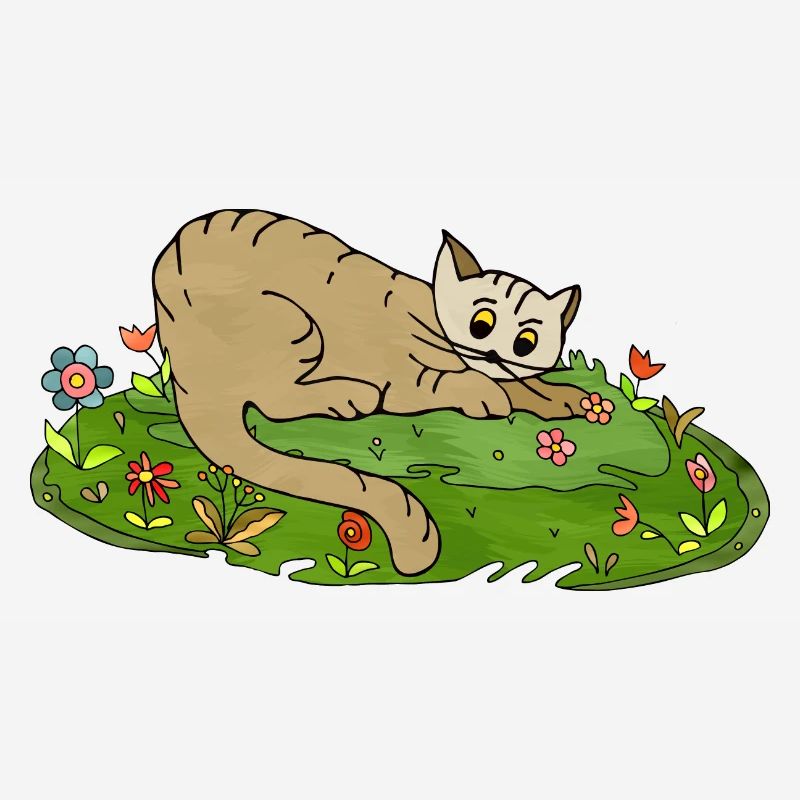 Chat