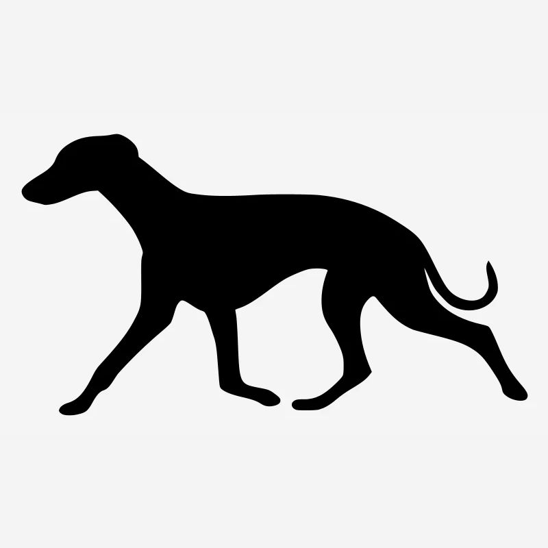 whippet2_cb