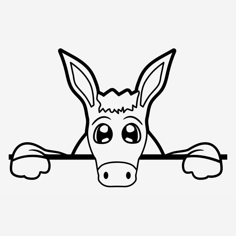 wall wall half text field area write small