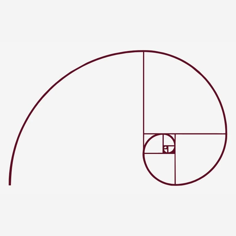 Spirale de Fibonacci, section doré, Phi, evolution