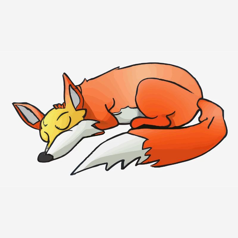 Sleeping Fox Sleeping Shirt Fox Lover
