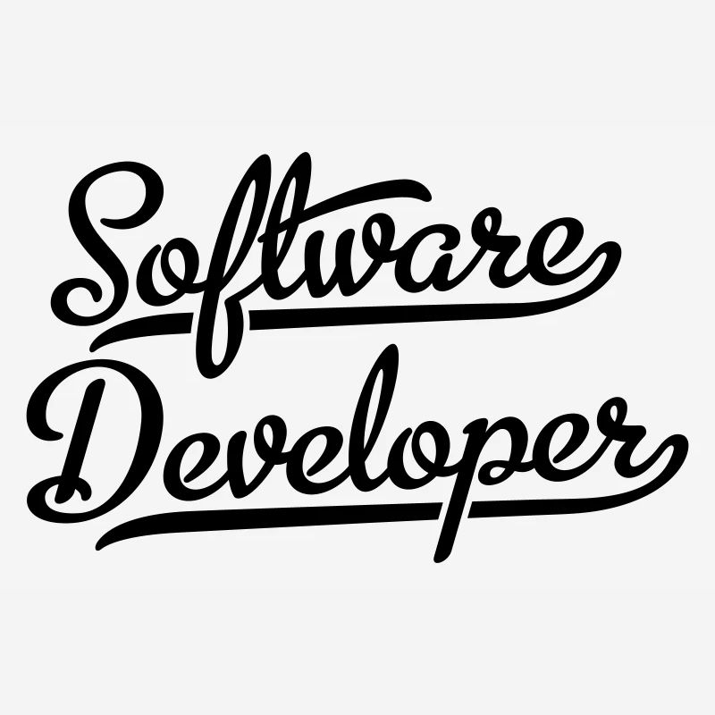 Software Developer