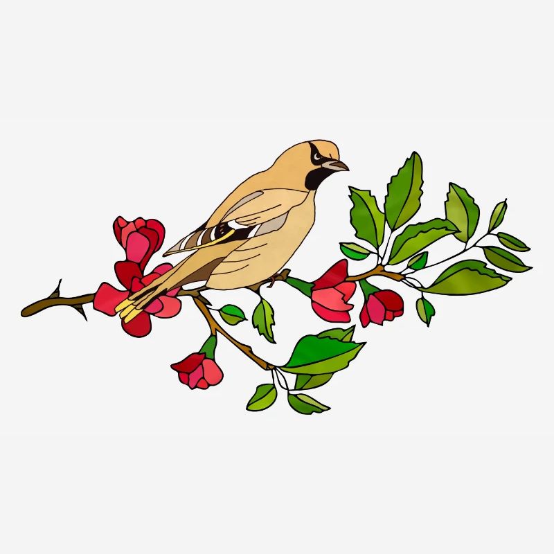 Oiseau coloré