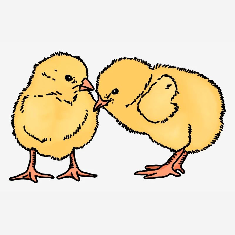 Deux poussins mignons