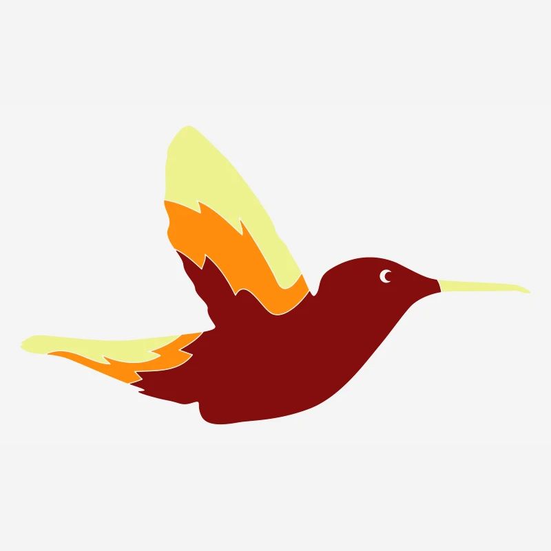 Colibri Oiseau