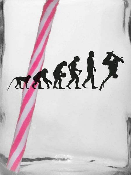 Evolution Skate