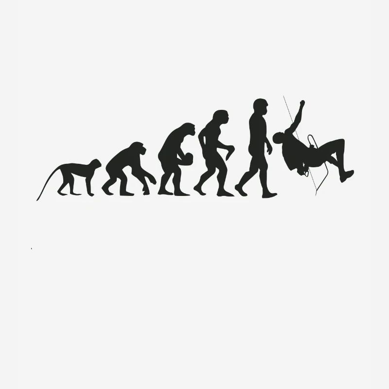 Evolution de l’escalade
