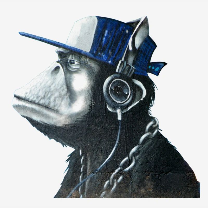 Affe Graffiti von Custom