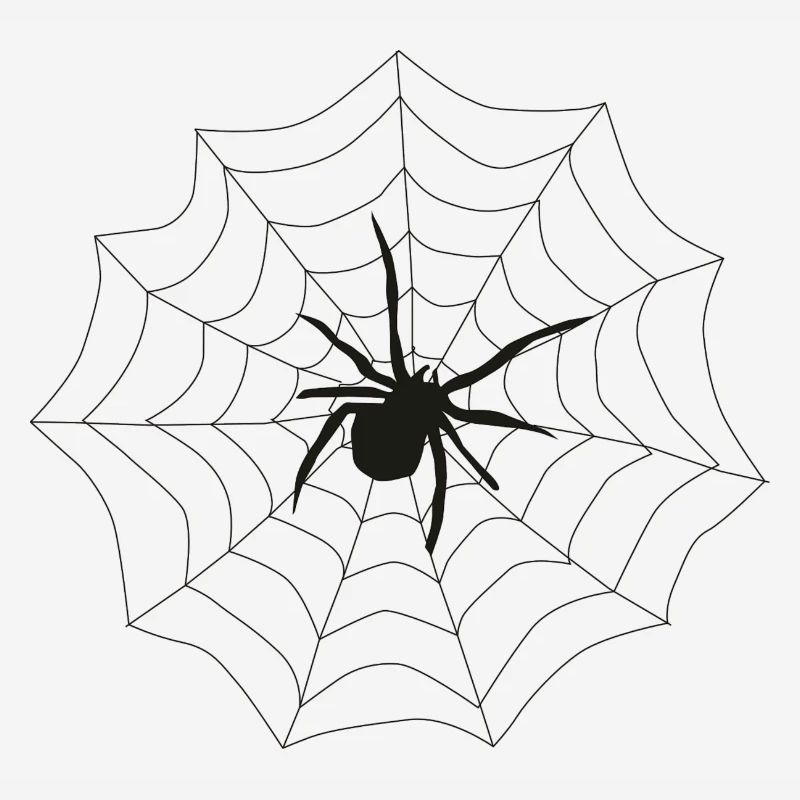 Spider web