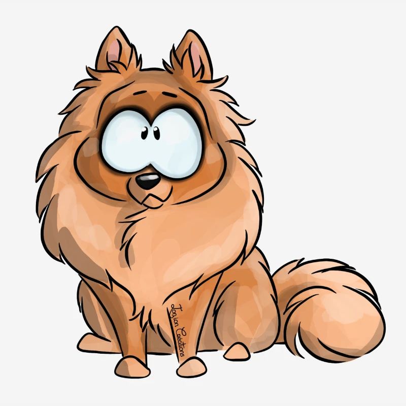 I'm German Spitz Dwarf