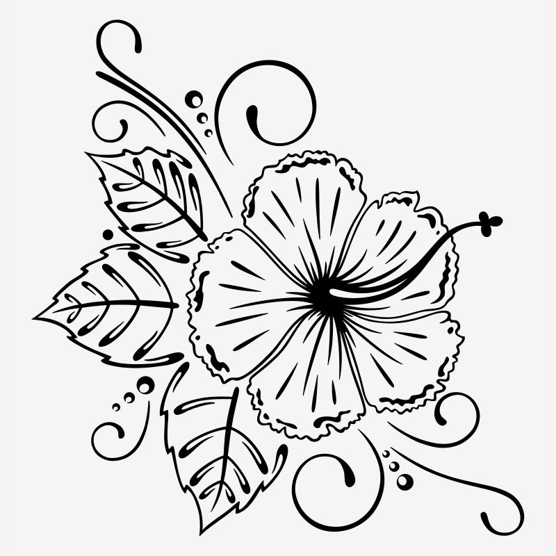 Hibiscus, hibiscus, fleur, fleurs
