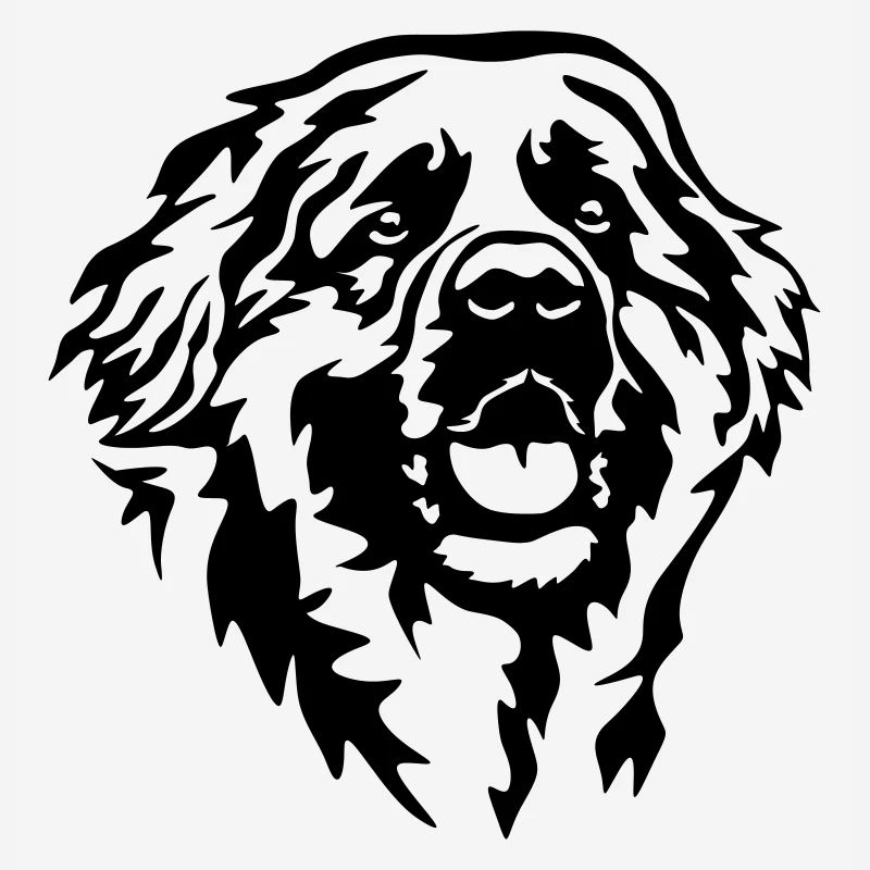Tête de Leonberger