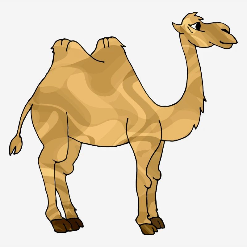 Kamel