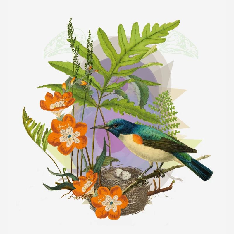 Le nid d'oiseau
