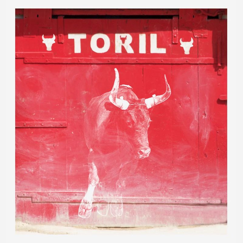 Taureau devant le Toril Camargue Modifier