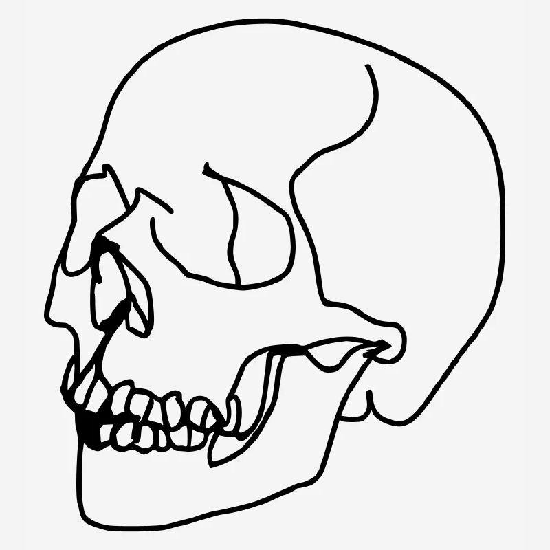 Skull Oneline