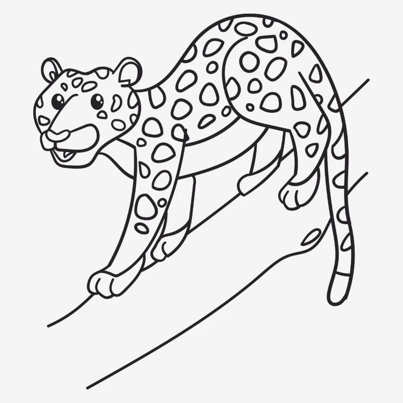 Leopard, Raubkatze, Geschenk, Geschenkidee