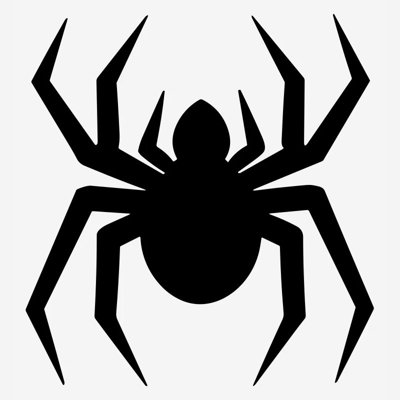 Spinne