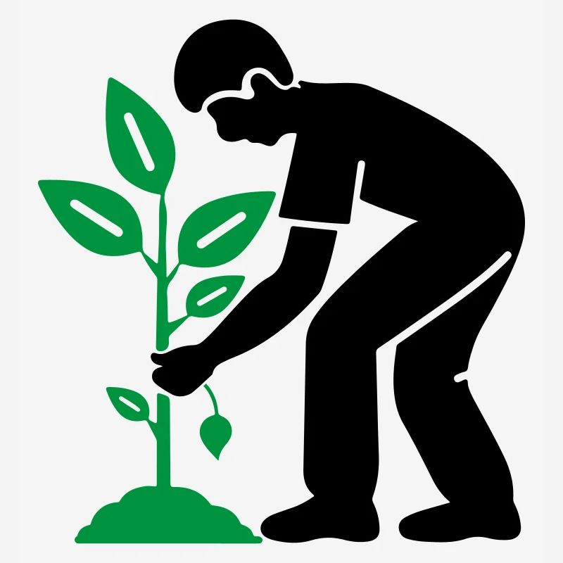 Tree Plants Garden Environment