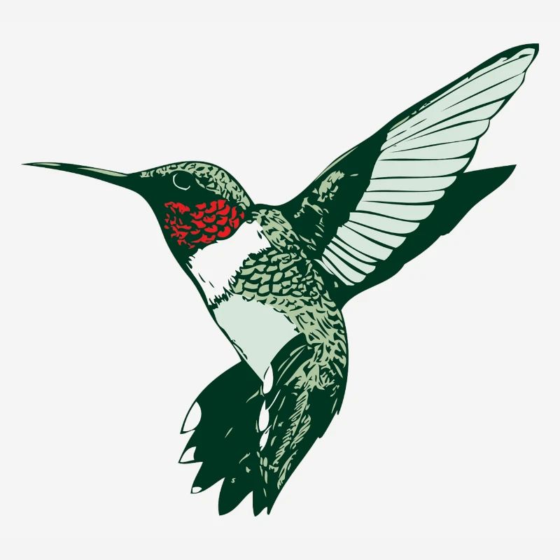 colibri