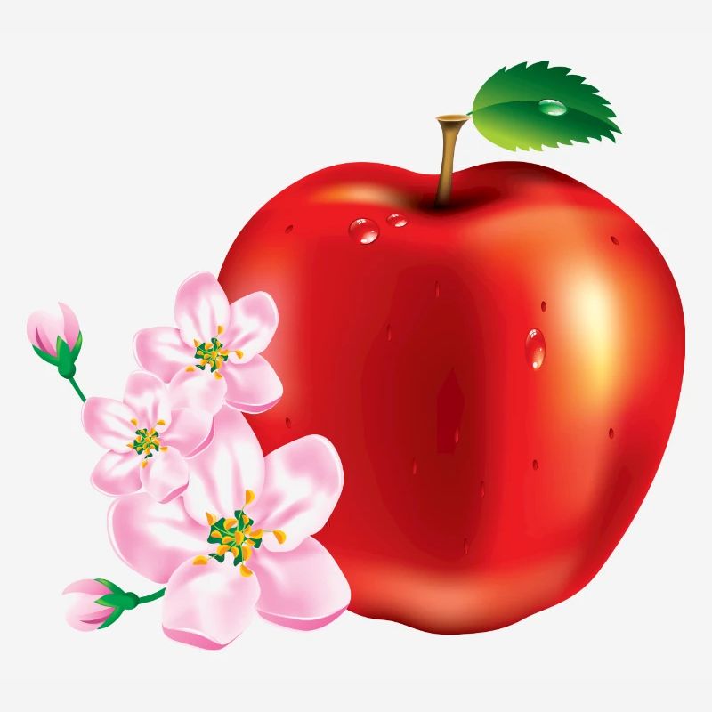 Apple avec la conception de la fleur de cerisier
