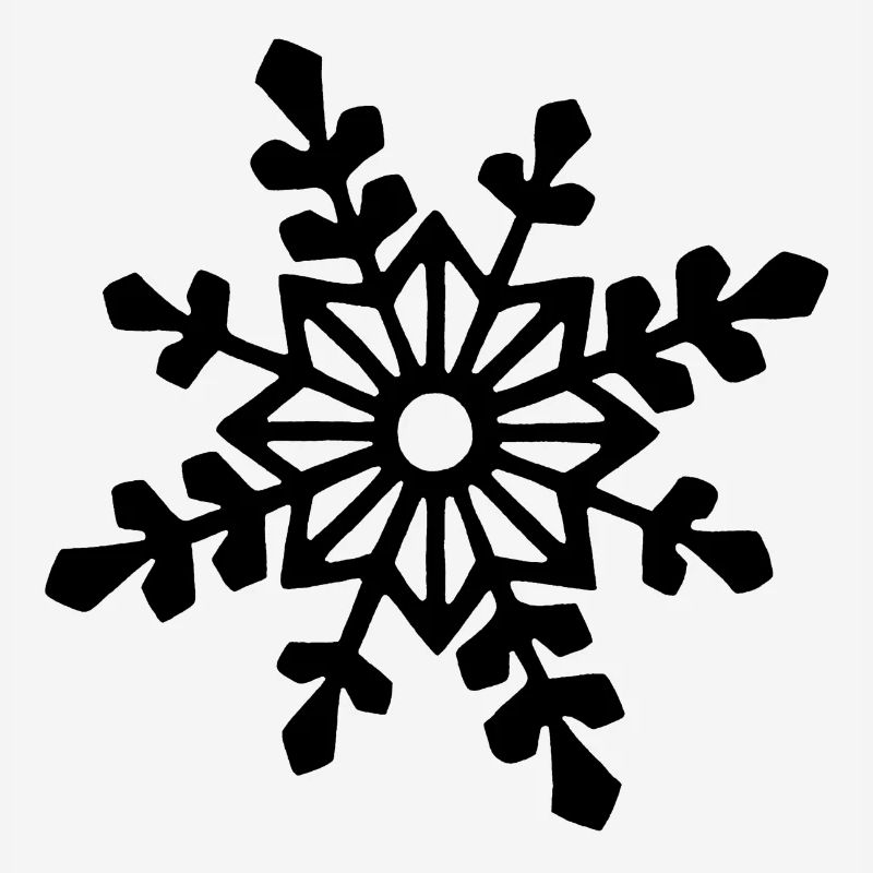 Black snowflake