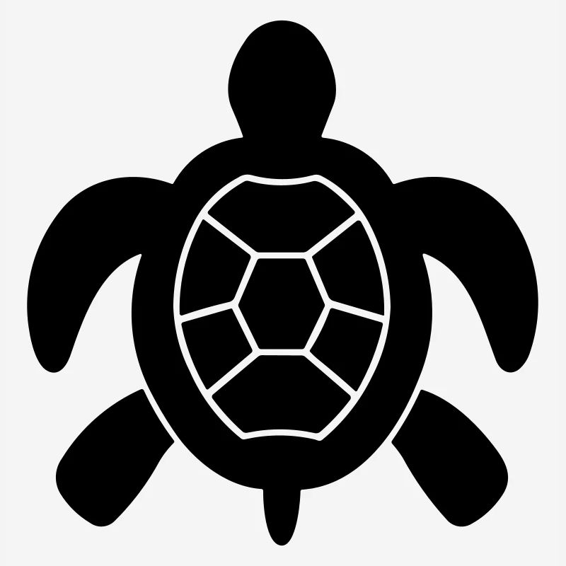 tortoise