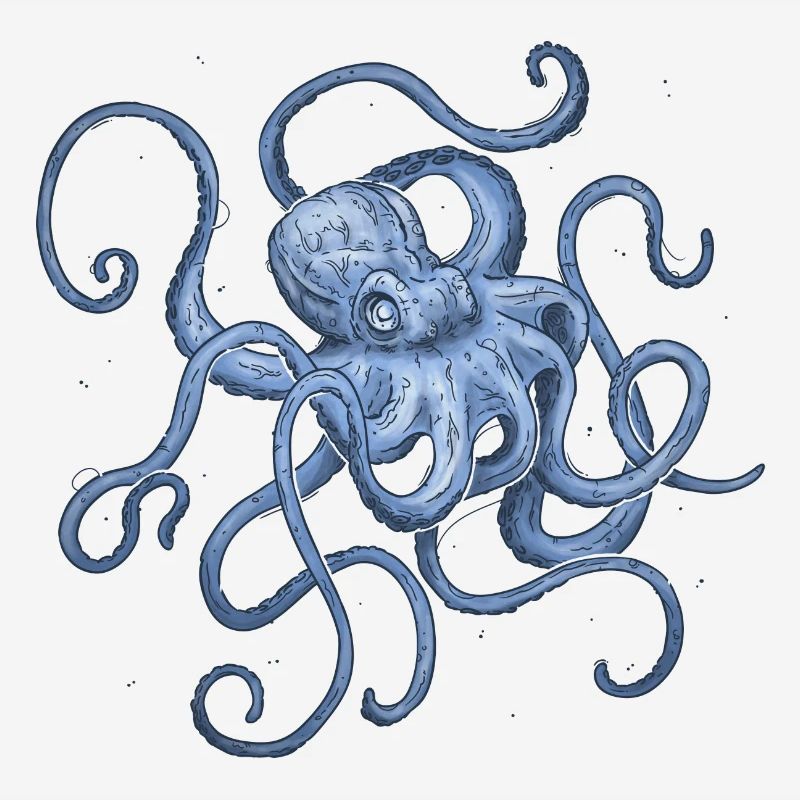 Octopus