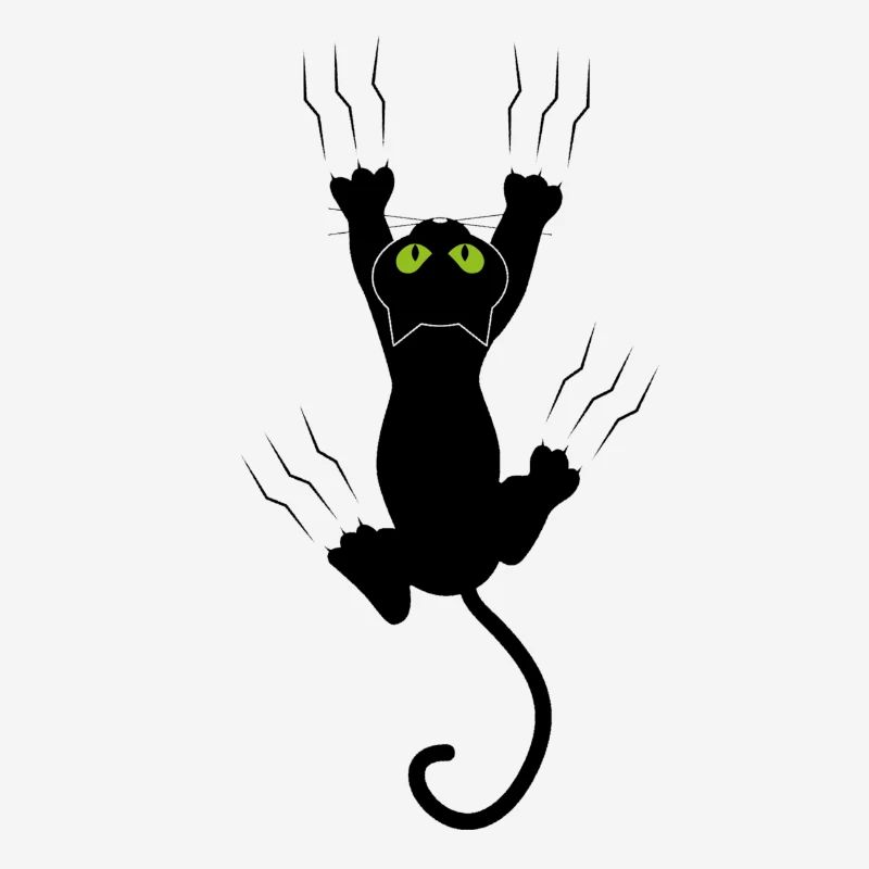 chat noir