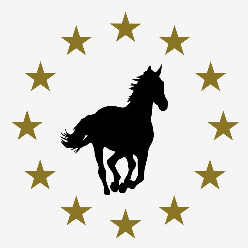 Pferd & Sternen