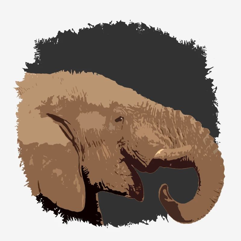 Elephant head with stylized look