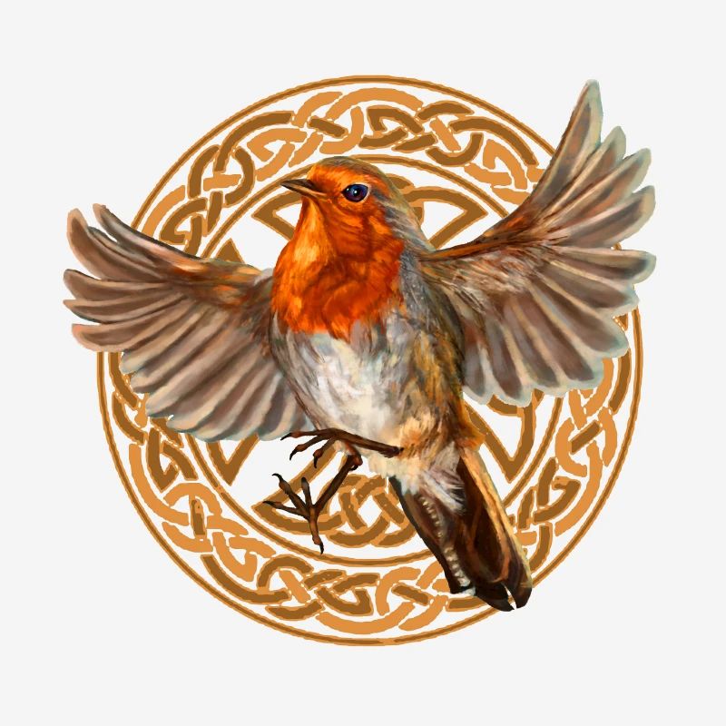 Robin bird
