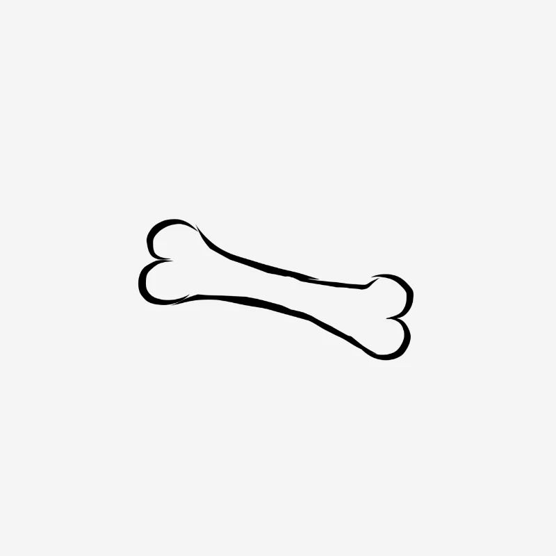 Os bone