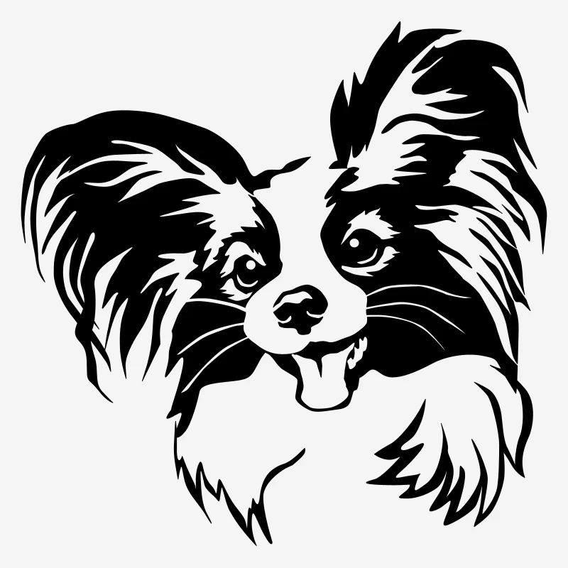 Tête de Papillon