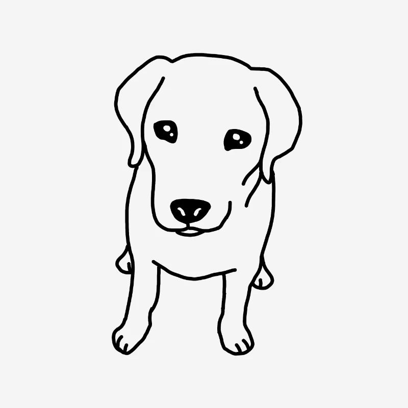 Labrador