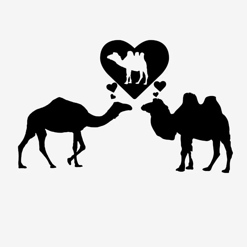 Dromedar liebt Kamel