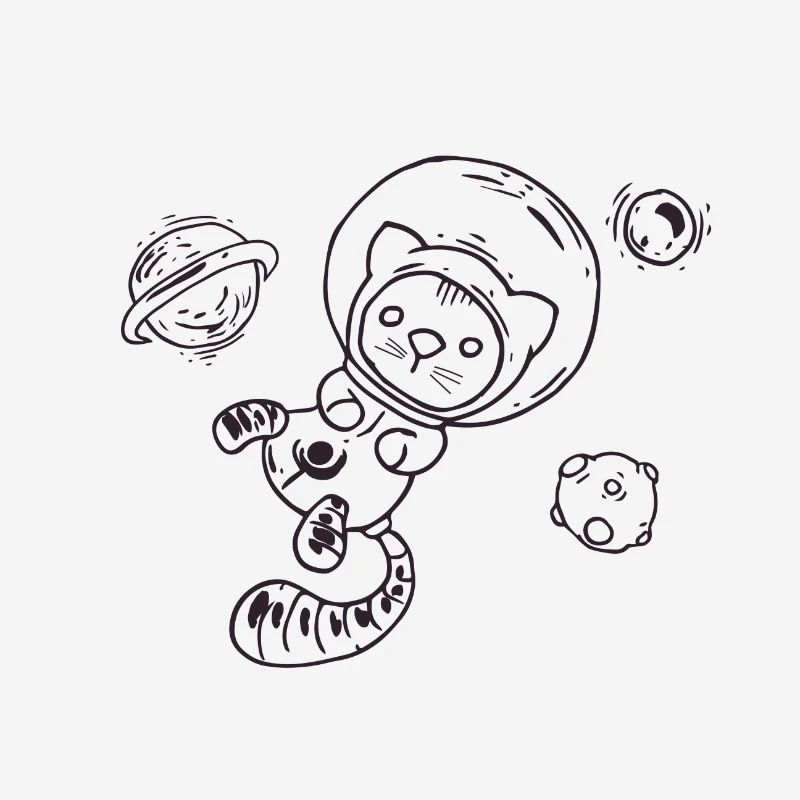 Chat dans l'espace