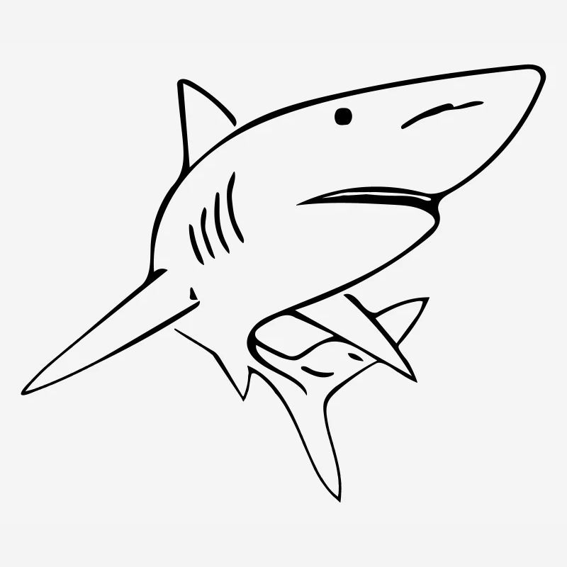 Shark - Vector Design