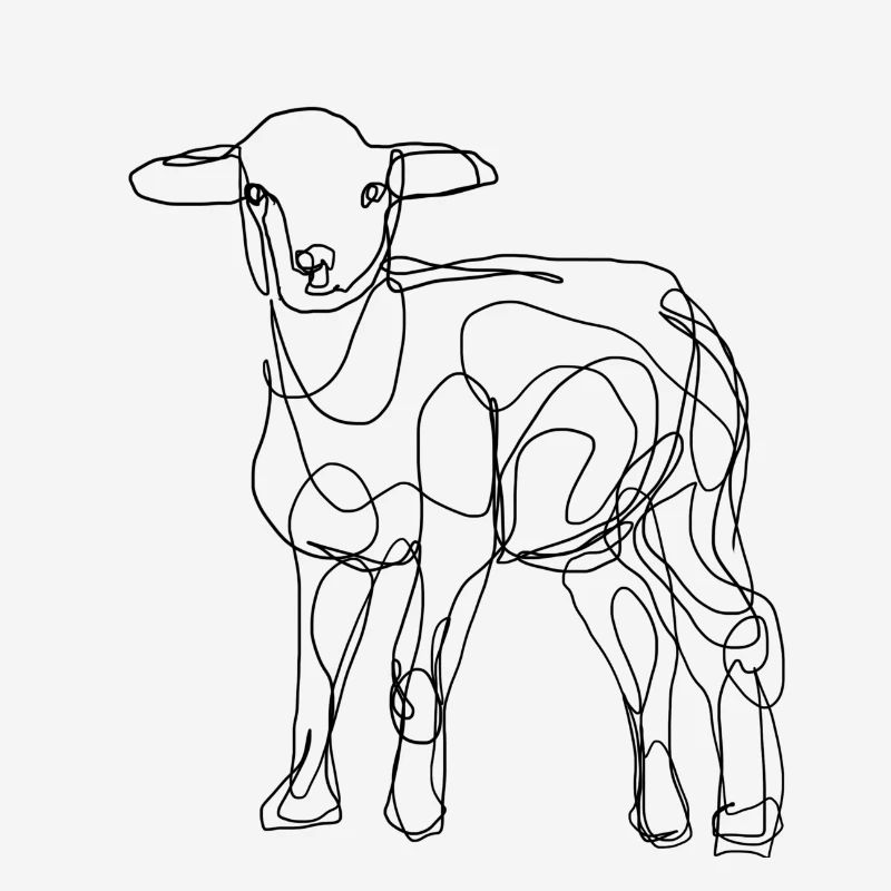 sheep Schaf lamm