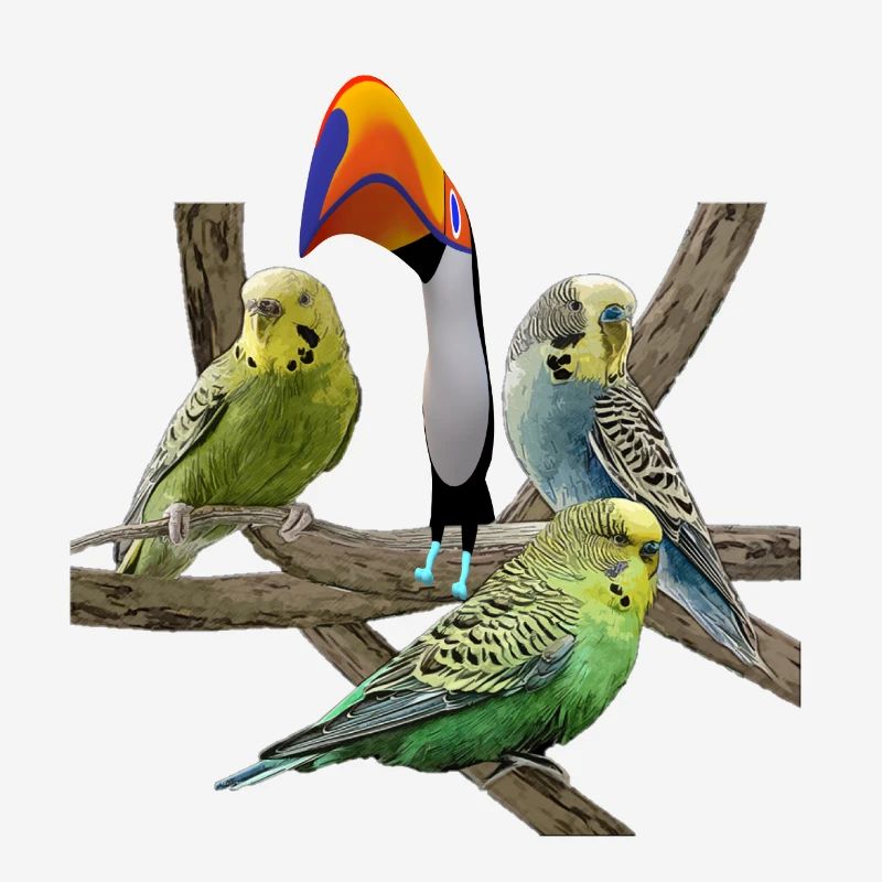 Budgerigars