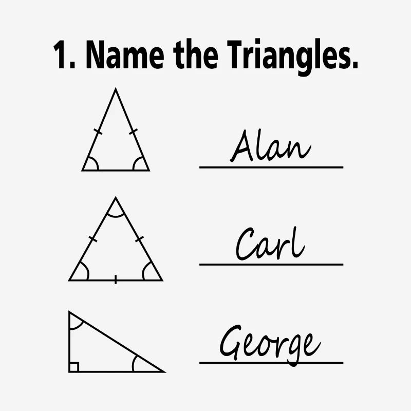 Name the Triangles Mathe Nerd Schule Geschenk