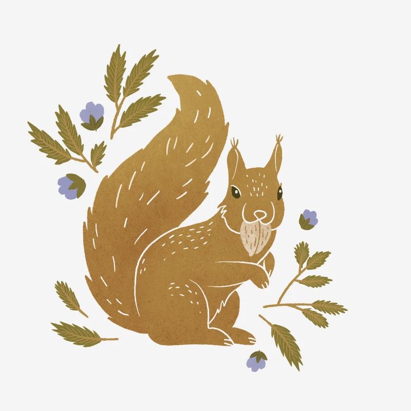 Animaux sauvages - Écureuils