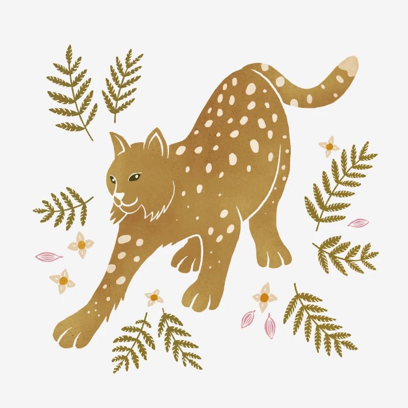 Animaux sauvages - Lynx