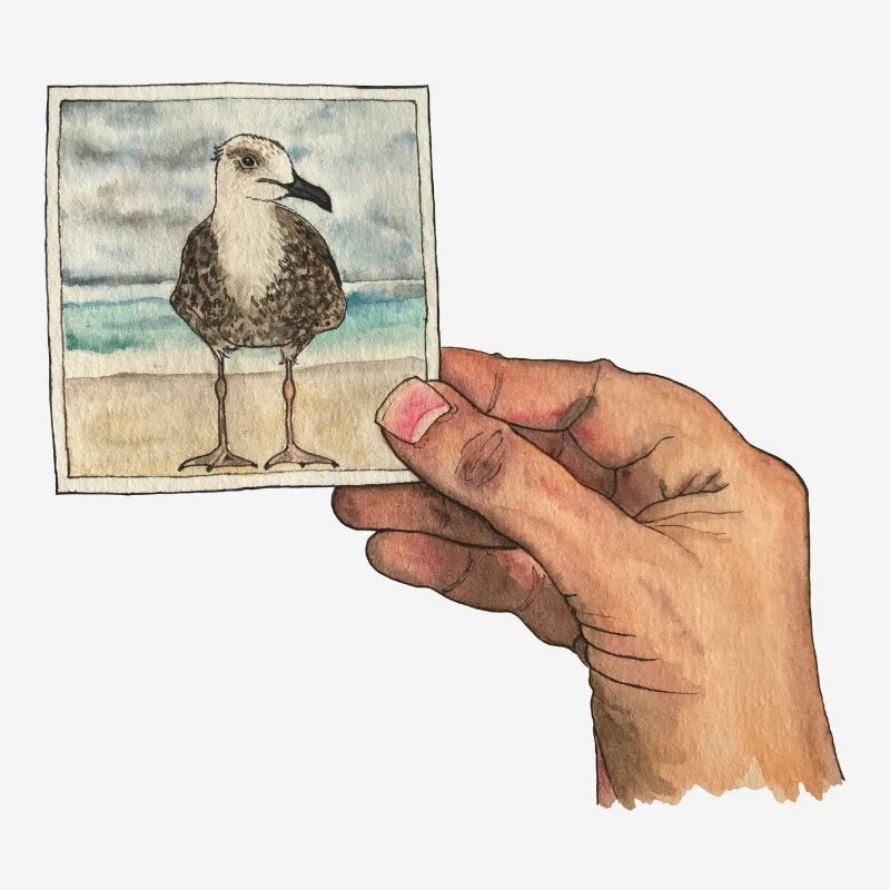 Main avec photo d'une mouette